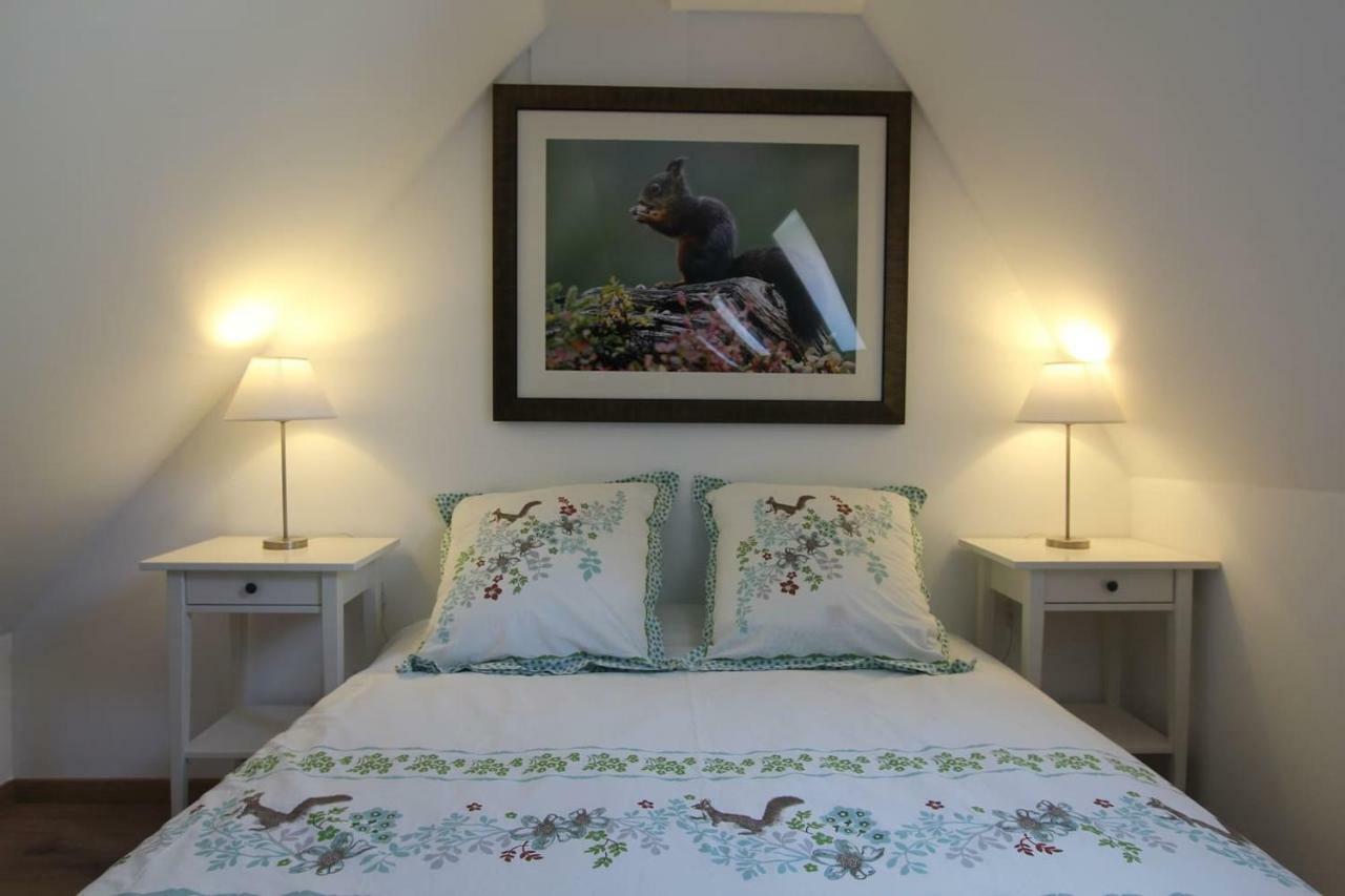Chambre Chez L'Habitant - L Ecureuil - Coeur De Riquewihr - 2 Personnes מראה חיצוני תמונה